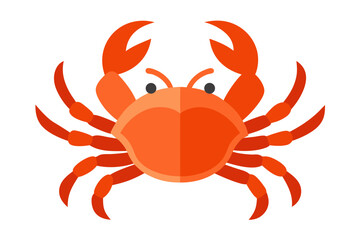 red crab isolated on white
