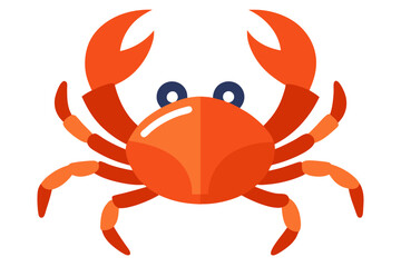 crab isolated on white background