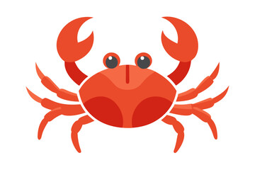 red crab isolated on white