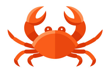 crab isolated on white background