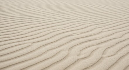 Obraz premium Sand Ripples Texture