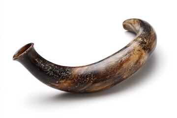Curved horn, light brown and dark brown, smooth, curved, hollow tube