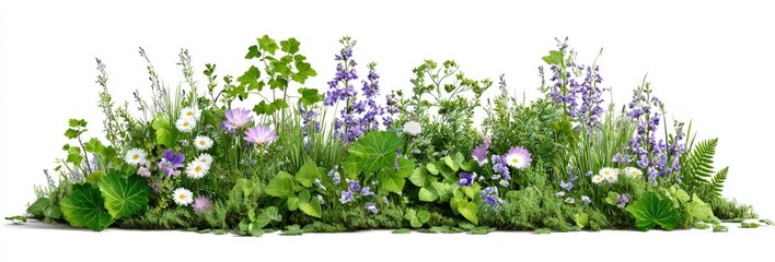 Lush border of vibrant greenery and wildflowers