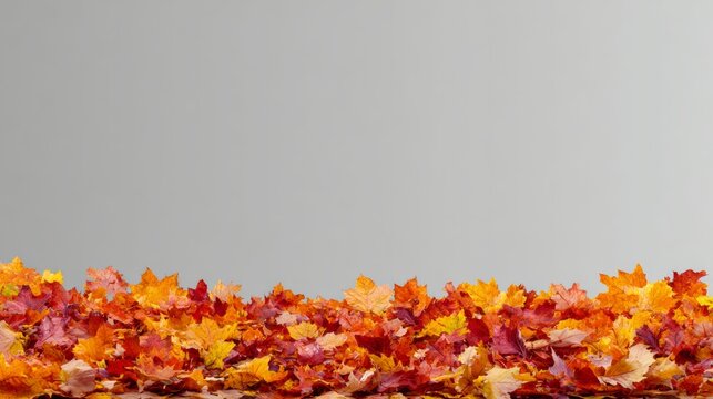 Row of autumn leaves on a gray background. The leaves are orange and yellow, and they are scattered across the ground. The image has a peaceful and serene mood, as the leaves are falling gently