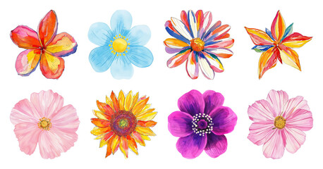Obraz premium PNG Colorful watercolor floral illustrations, element set on transparent background