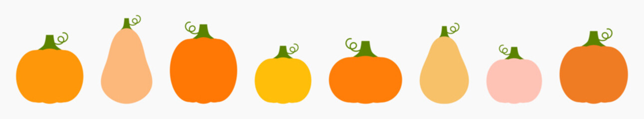 Autumn pumpkins set, different shapes, colors and sizes. Pumpkin gourds border design element. Vector illustration.