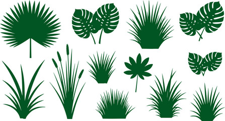 set of green grass and leaves. tropical jungle leaf.
