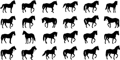 set of equestrian silhouette black and white in many profile side front view.