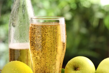 Delicious cider in glass, bottle and apples on blurred background, closeup