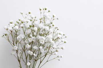 Delicate white flowers on a white background.  A close-up of a small bouquet of tiny, white flowers with light green stems, arranged against a plain white backdrop.  