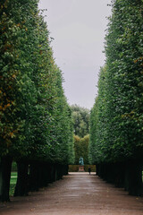 The King's Garden in central Copenhagen city on rainy day.