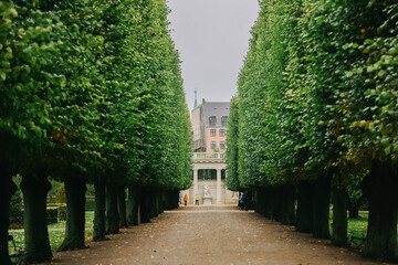 The King's Garden in central Copenhagen city on rainy day.