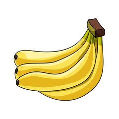 Yellow Ripe Banana Bunch Vector Illustration