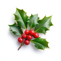 Holly sprig with vibrant red berries (1)