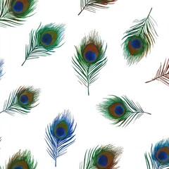 Obraz premium Peacock feather pattern on white background (1)