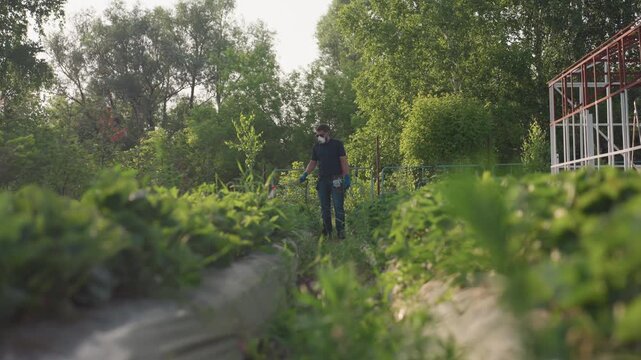 Farmer fumigating crop rows walking through sunlit field wearing protective mask and dark sunglasses, spraying plants with handheld sprayer, surrounded by lush greenery and trees