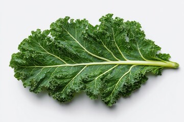 Single kale leaf, vibrant green (1)