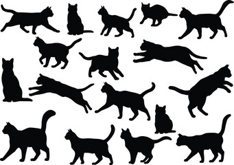 Cat silhouettes collection, domestic pet vector, sitting walking running jumping cats, black animal outline design, feline shapes illustration, pet graphic icons