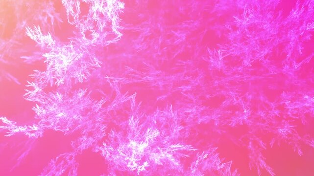 detailreiche filigrane organische Struktur &ndash; faszinierendes Gew&auml;chs, Alge, Gewebe, Forschung, Natur, Biologie,  Wissenschaft, Forschung, pink, rot