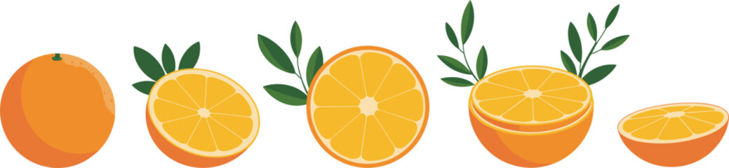 Collection of Whole and Sliced Oranges with Green Leaves on White Background fruit citrus