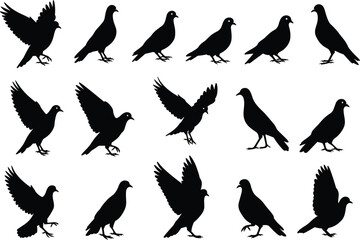 Pigeon silhouettes collection of urban birds in standing and flying poses, vector illustration for design, city wildlife, and nature concepts