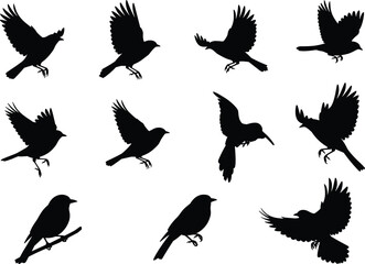 Obraz premium Flying small bird silhouettes collection, sparrow and finch in motion, black vector illustration, wildlife clipart, nature design, animal pattern pack