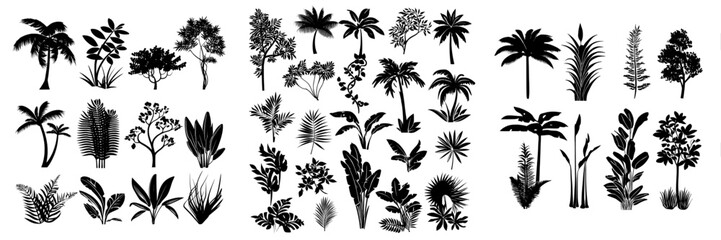 Tropical plants and lianes are utilized as graphic elements in flat design, featuring a bundle of diverse exotic trees and leaves, wild flora, and other green jungle foliage in a modern illustration
