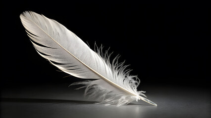 Obraz premium Delicate White Feather Against Dark Background quill