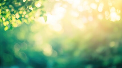 Obraz premium bokeh. An abstract nature scene with blurred trees and soft sunlight creating a dreamy effect. travel magazines, destination branding, designed for travel destination branding.