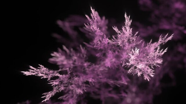 detailreiche filigrane organische Struktur &ndash; faszinierendes Gew&auml;chs, Alge, Gewebe, Forschung, Natur, Biologie,  Wissenschaft, Forschung, rosa