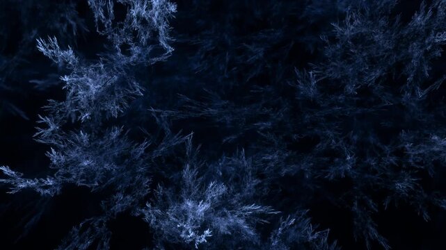 detailreiche filigrane organische Struktur &ndash; faszinierendes Gew&auml;chs, Alge, Gewebe, Forschung, Natur, Biologie,  Wissenschaft, Forschung, gr&uuml;n
