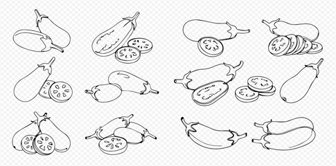Collection of eggplant line drawings, whole and sliced, in various arrangements on a transparent background.