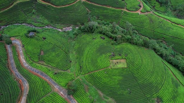 Munnar