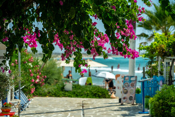 Naxos, Greece - Road towards Agios Georgios Beach