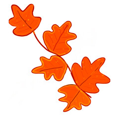 Autumn Oak Leaves Branch

Warm Fall Leaves Illustration
and-Drawn Orange Autumn Foliage

Cute Oak Branch with Fall Leaves
