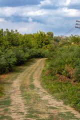 Narrow dirt road curving through green bushes and trees in a rural countryside landscape