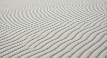 Obraz premium Rippled Sand Texture