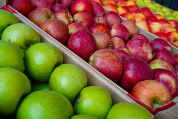 Apples are arranged in containers in a large garden. Harvesting.