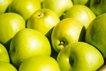Apples are arranged in containers in a large garden. Harvesting.