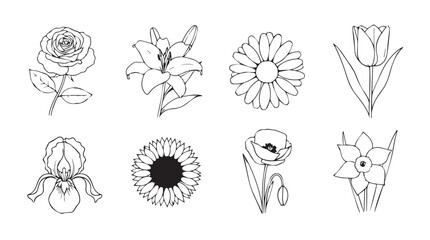 Elegant botanical sketch collection featuring eight distinct floral designs for artistic projects silhouette