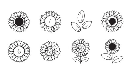 Hand drawn sketch collection of beautiful sunflowers and seeds in black and white outline style silhouette