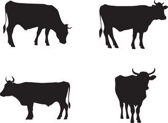 Fototapeta premium Set of Cow silhouette isolated on white