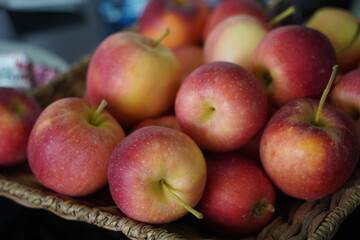 Apples are arranged in containers in a large garden. Harvesting.