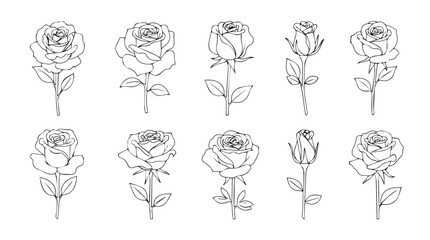 Collection of hand drawn rose illustrations in sketch style with detailed petals and stems on white silhouette