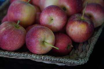 Apples are arranged in containers in a large garden. Harvesting.