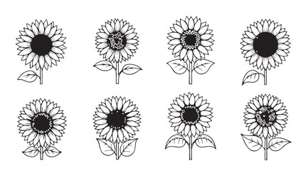 Collection of hand drawn sunflower illustrations various styles botanical art nature elements decorative floral design silhouette