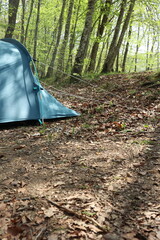 tent in forest