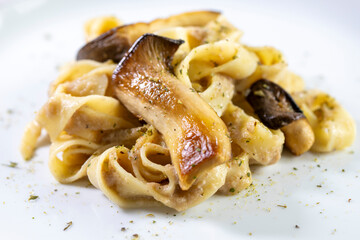 Homemade Italian fettuccine pasta with mushrooms and cream sauce