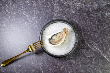 open oyster