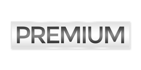 Fototapeta premium Silver Premium Button Element png file